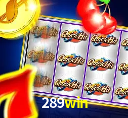 Interface Premium 289win