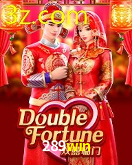 289WIN.COM